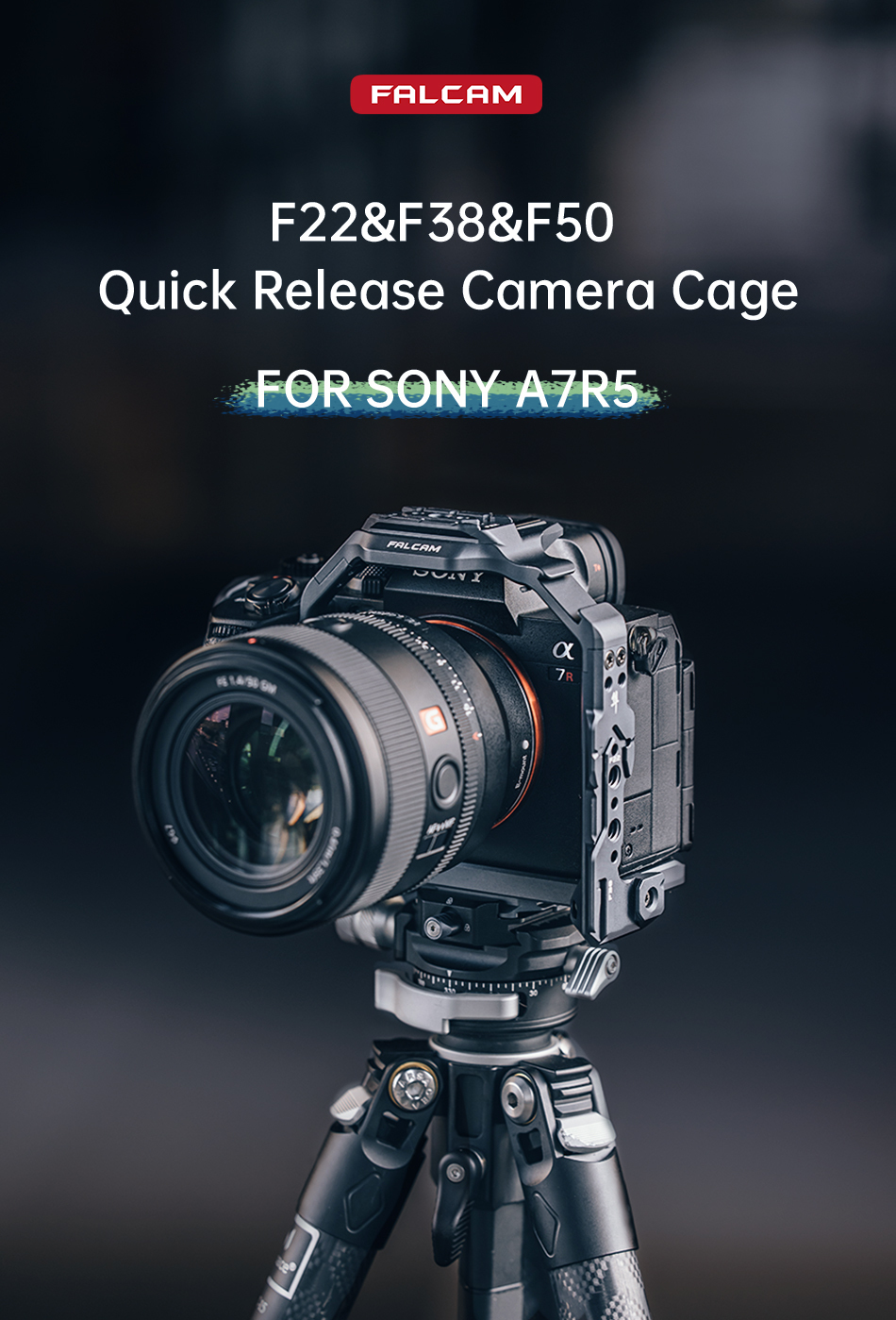3605】 SONY α7R5/α1/α7m4 V2(F50付き)